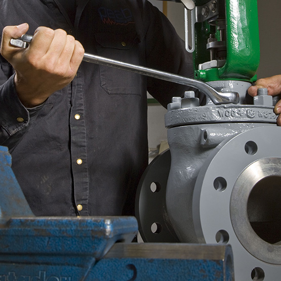 UF-103 - Service Fisher valves