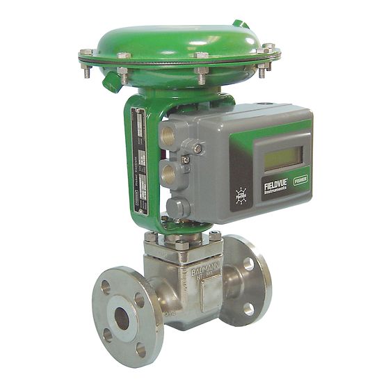 Baumann 24000CVF Carbon & 24000SVF Stainless Steel Flanged Control Valves