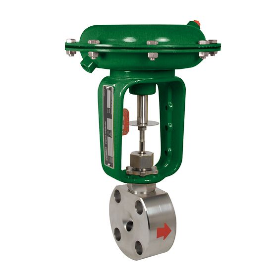 Baumann 24000F Wafer Body Control Valve
