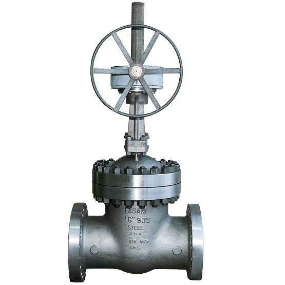 Fasani Bolted Bonnet Gate Valves