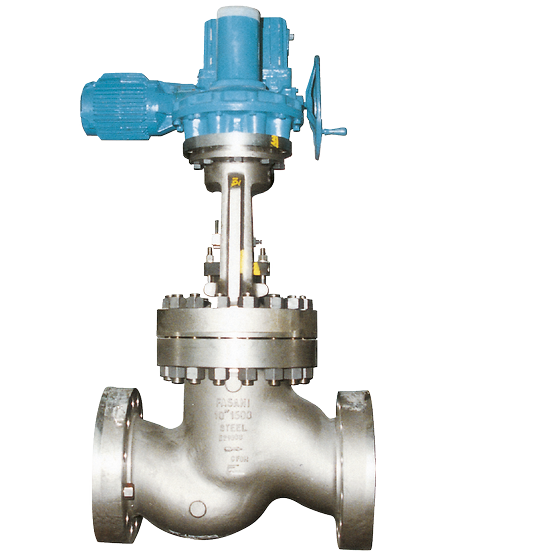 Fasani Bolted Bonnet LP/MP Check Valve