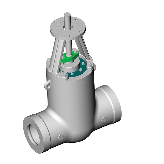 Fasani Style B High Pressure Gate Valve