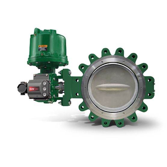 Fisher 8532 High Performance Butterfly Valve