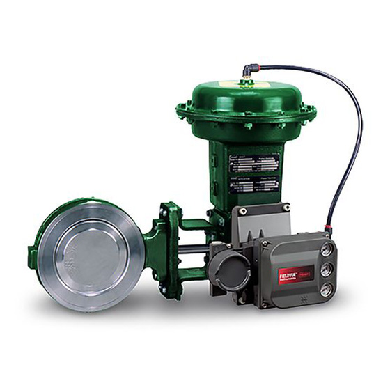 Fisher 8560 High Performance butterfly valve