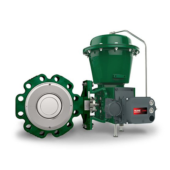 Fisher 8590 High Performance Butterfly Valve