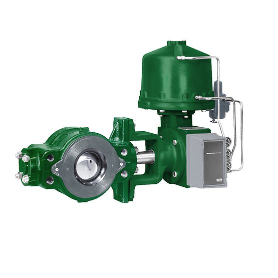 Fisher V250 Control Valve
