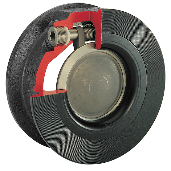 Keystone F86 Swing Type Check Valve
