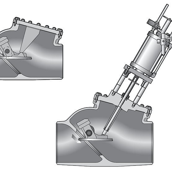 Sempell Dewrance Model B21/B51 Check Valve