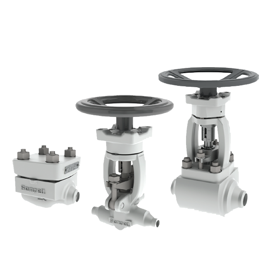 Sempell Nuclear Model NICO 4000 High Pressure Stop and Check valves