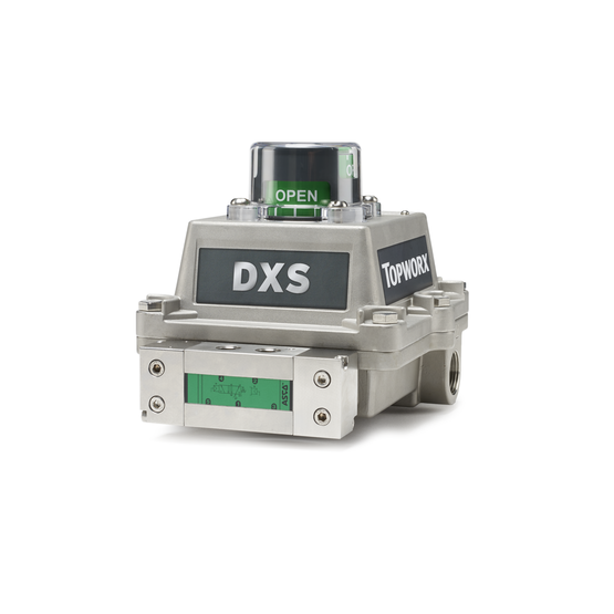TopWorx DXS