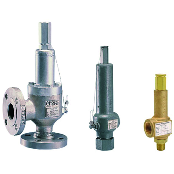 Anderson Greenwood Series Direct Spring Operated Pressure Relief Valves Series 60/80
