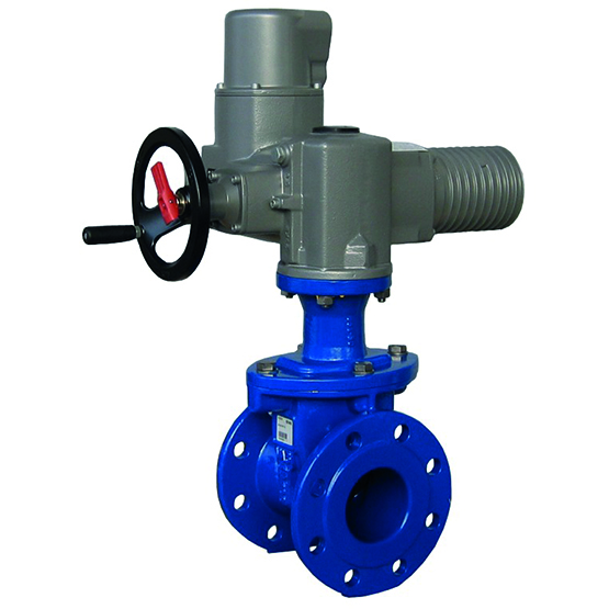 VAG EKO plus with electric actuator