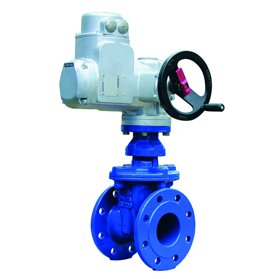 VAG EKO plus with electric actuator