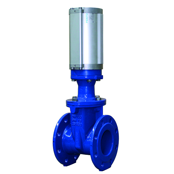 VAG EKO plus with pneumatic actuator