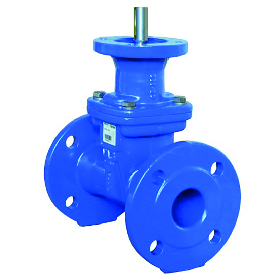 VAG EKO plus prepared for electric actuator