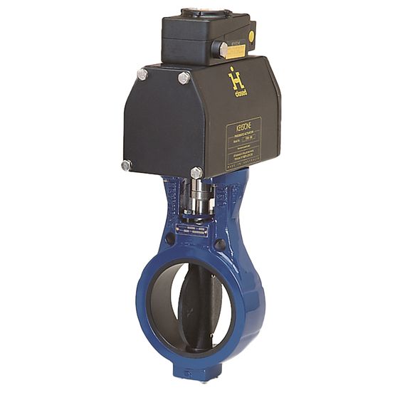 Keystone Figure 637 Slurry valve
