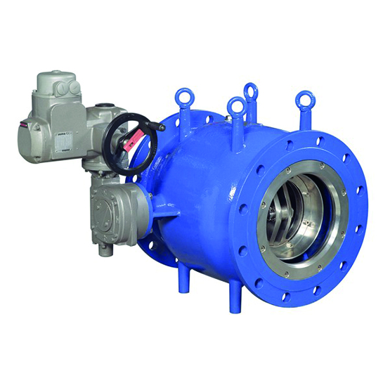 VAG RIKO Plunger Valve one-piece body, with electric actuator - water