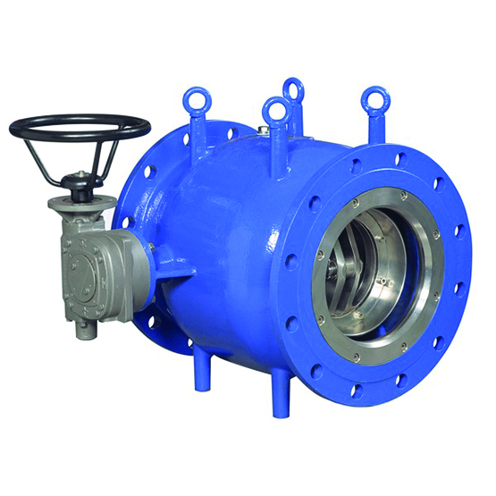 VAG RIKO Plunger Valve one-piece body, with handwheel - water