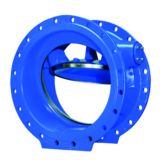 VAG SKR Check Valve